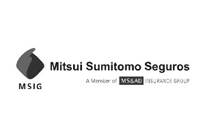 Mitsui